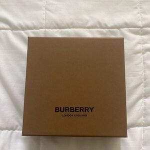 Burberry Vintage Check Belt (Never Worn)